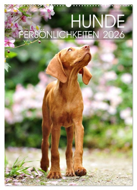 Hundepersönlichkeiten (Wandkalender 2026 DIN A2 hoch), CALVENDO Monatskalender - dogARTig dogARTig