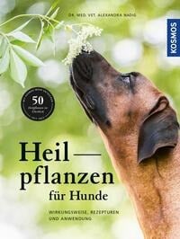 Heilpflanzen für Hunde - Alexandra Nadig