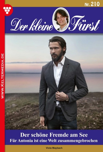 Der schöne Fremde am See - Viola Maybach