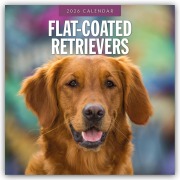 Cover-Bild zum Titel 'Flat-Coated Retrievers - Flat Coated Retriever 2026 - 16-Monatskalender' von 'Robin Red'