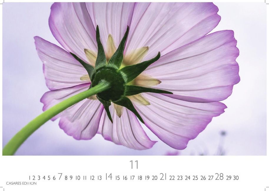 InsideView 11