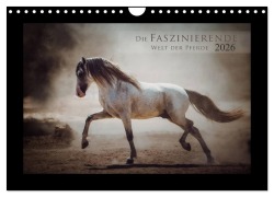 Die Faszinierende Welt der Pferde (Wandkalender 2026 DIN A4 quer), CALVENDO Monatskalender - Sabrina Mischnik