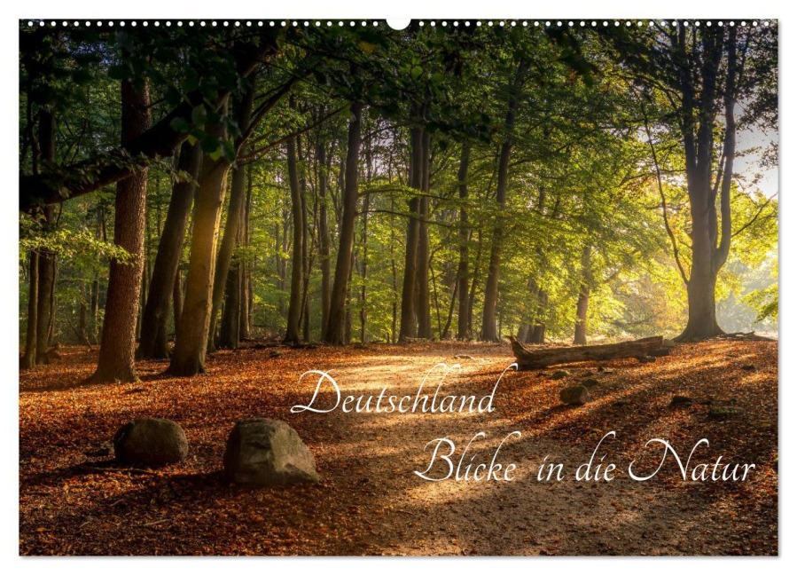 Deutschland Blicke in die Natur (Wandkalender 2026 DIN A2 quer), CALVENDO Monatskalender - Renee Söhner