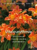 Cover-Bild zum Titel 'Vitaleurythmie' von 'Christiane Hagemann, Michael Werner, Annette Bopp'