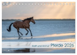 Cover-Bild zum Titel 'Pferde 2026 Kraft und Anmut (Tischkalender 2026 DIN A5 quer), CALVENDO Monatskalender' von 'Paula Müller'