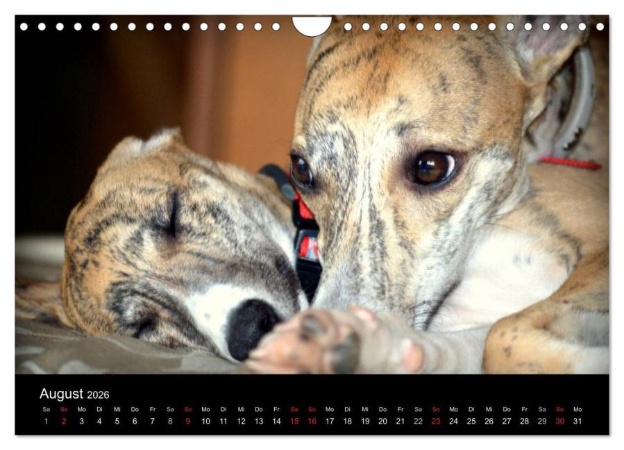 InsideView 13
