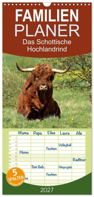 Familienplaner 2027 - Das Schottische Hochlandrind mit 5 Spalten (Wandkalender, 21 x 45 cm) CALVENDO - Christine Schmutzler-Schaub
