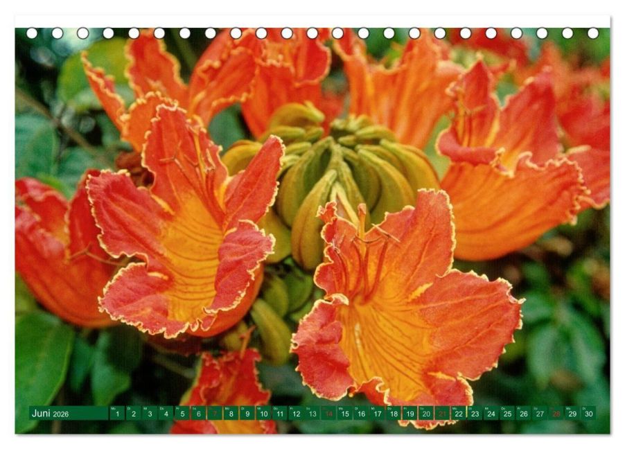 InsideView 11