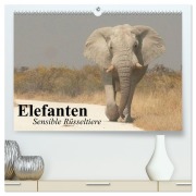 Cover-Bild zum Titel 'Elefanten. Sensible Rüsseltiere (hochwertiger Premium Wandkalender 2026 DIN A2 quer), Kunstdruck in Hochglanz' von 'Elisabeth Stanzer'