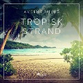 Cover-Bild zum Titel 'Avslappning - Tropisk strand' von 'Rasmus Broe'
