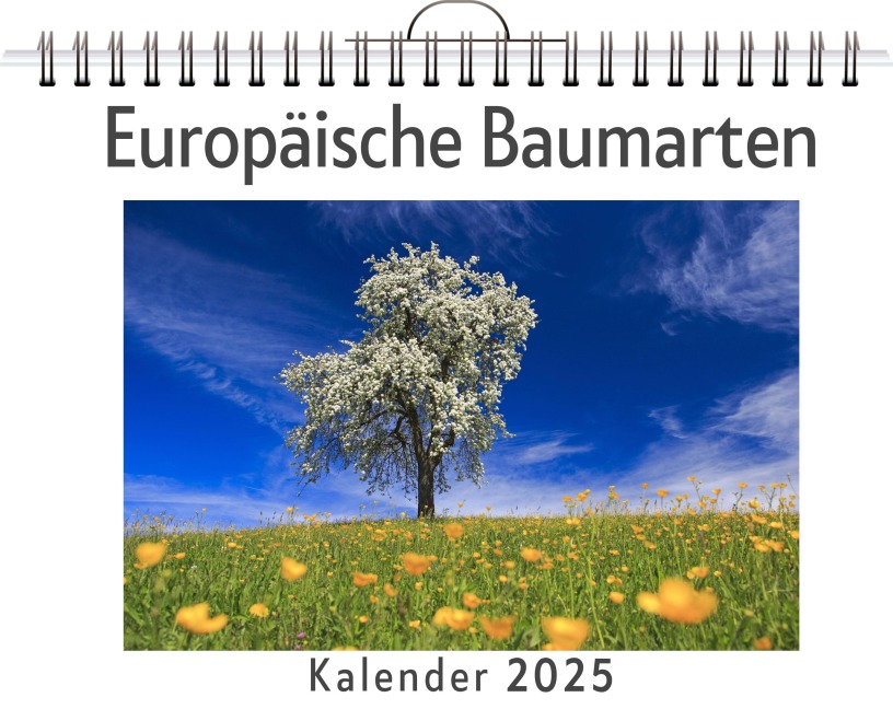 Europäische Baumarten - (Wandkalender 2025, Kalender DIN A4 quer, Monatskalender im Querformat mit Kalendarium, das perfekte Geschenk) - Hannah Meier