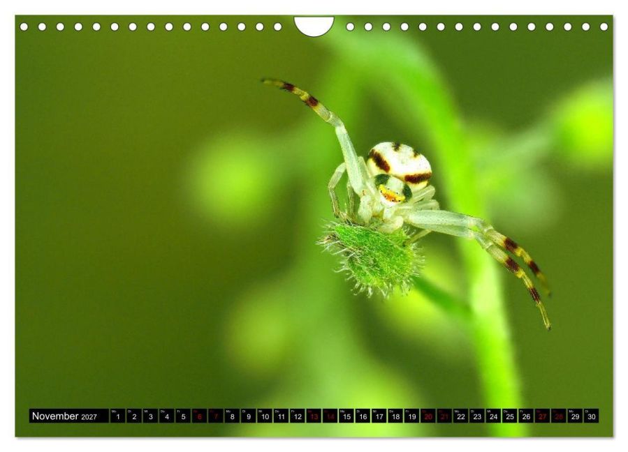 InsideView 3