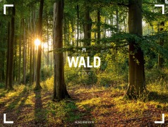 Wald Gallery Kalender 2026 - 
