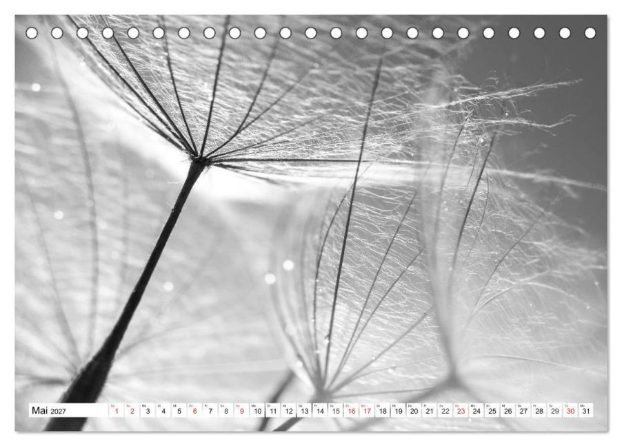 InsideView 10