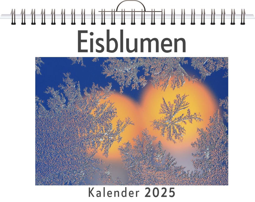 Eisblumen - Matteo Hartmann