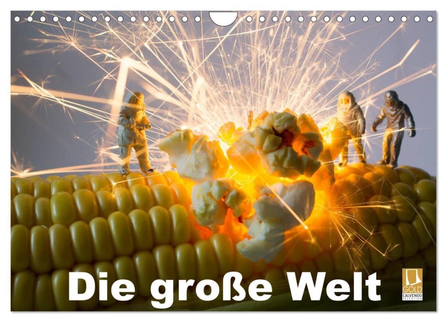 Die große Welt (Wandkalender 2026 DIN A4 quer), CALVENDO Monatskalender - Holger Rochow