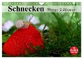 Schnecken. Witzige Schleimer (Wandkalender 2024 DIN A4 quer), CALVENDO Monatskalender - Elisabeth Stanzer