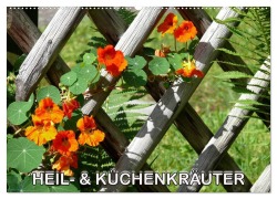 Cover-Bild zum Titel 'Heil- und Küchenkräuter (Wandkalender 2027 DIN A2 quer), CALVENDO Monatskalender' von 'Bildagentur Geduldig'