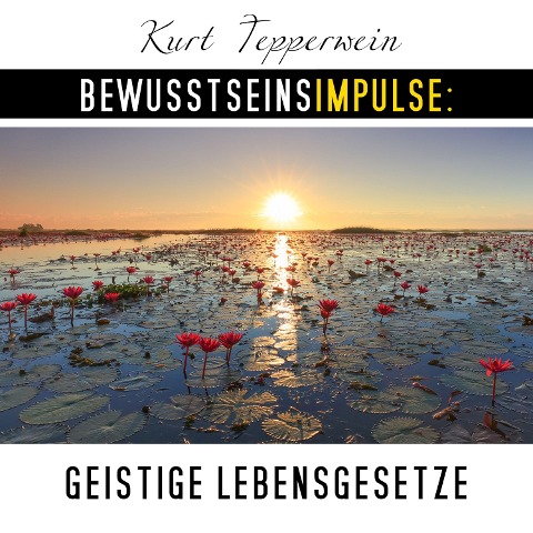 Bewusstseinsimpulse: Geistige Lebensgesetze - Kurt Tepperwein