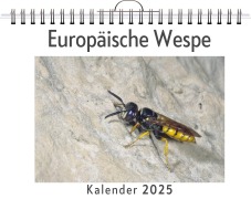 Cover-Bild zum Titel 'Europäische Wespe' von 'Hannah Schmitt'