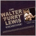 Cover-Bild zum Titel 'The Walter "Furry" Lewis Collection' von 'Walter "Furry" Lewis'