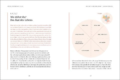 InsideView 6