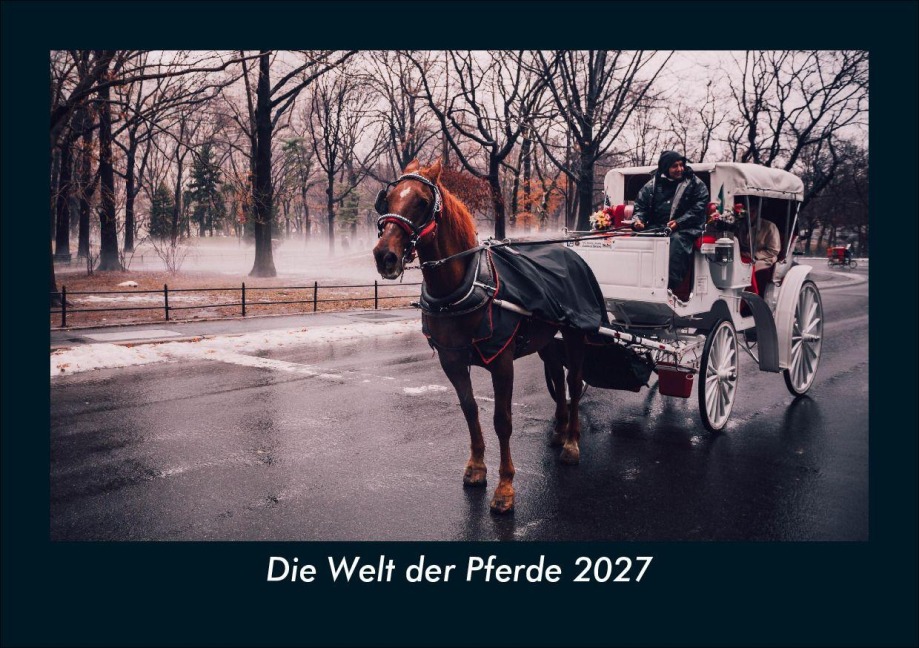 Die Welt der Pferde 2027 Fotokalender DIN A5 - Tobias Schmitt, Kevin Heber