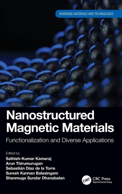 Nanostructured Magnetic Materials - 