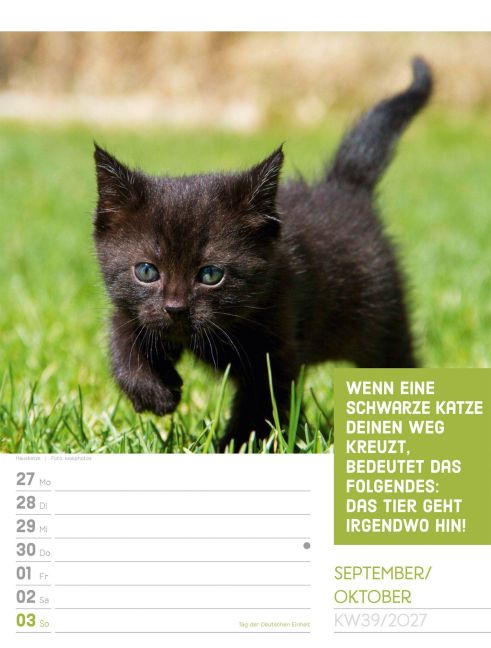 InsideView 43