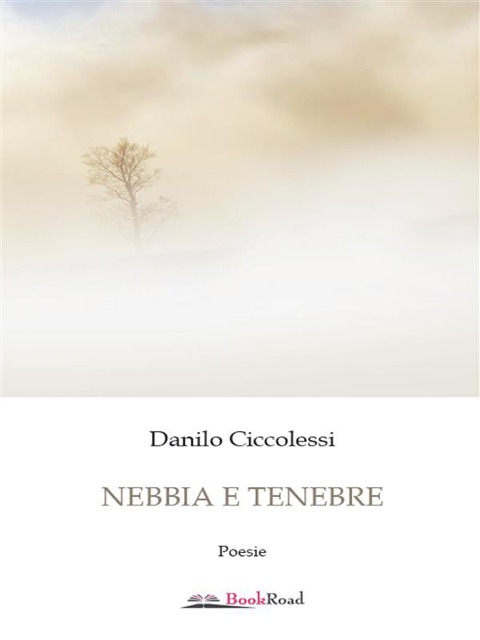 Nebbia e tenebre - Danilo Ciccolessi