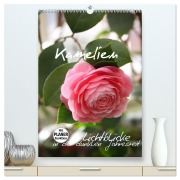 Cover-Bild zum Titel 'Kamelien Lichtblicke in der dunklen Jahreszeit (hochwertiger Premium Wandkalender 2026 DIN A2 hoch), Kunstdruck in Hochglanz' von 'Gisela Kruse'