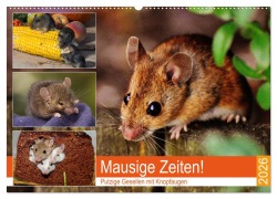 Cover-Bild zum Titel 'Mausige Zeiten! Putzige Gesellen mit Knopfaugen (Wandkalender 2026 DIN A2 quer), CALVENDO Monatskalender' von 'Rose Hurley'