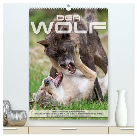 Emotionale Momente: Der Wolf. (hochwertiger Premium Wandkalender 2025 DIN A2 hoch), Kunstdruck in Hochglanz - Ingo Gerlach