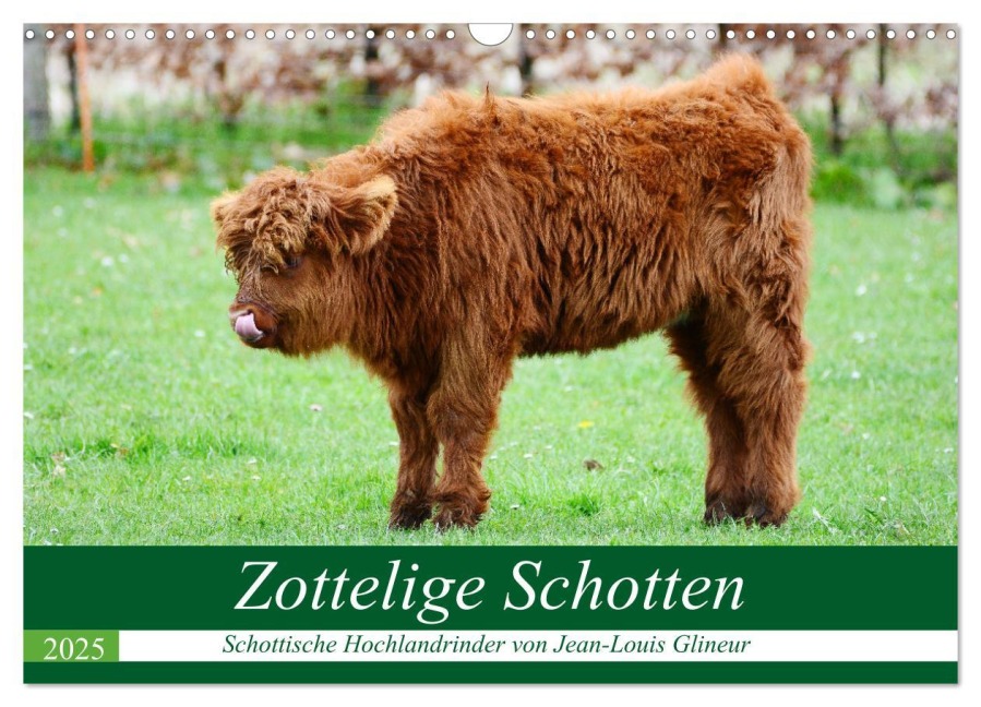 Zottelige Schotten (Wandkalender 2025 DIN A3 quer), CALVENDO Monatskalender - Jean-Louis Glineur