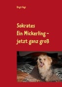 Cover-Bild zum Titel 'Sokrates Ein Mickerling - jetzt ganz groß' von 'Birgit Vogt'