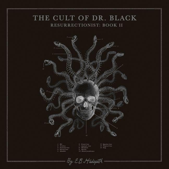 The Cult of Dr. Black - E B Hudspeth