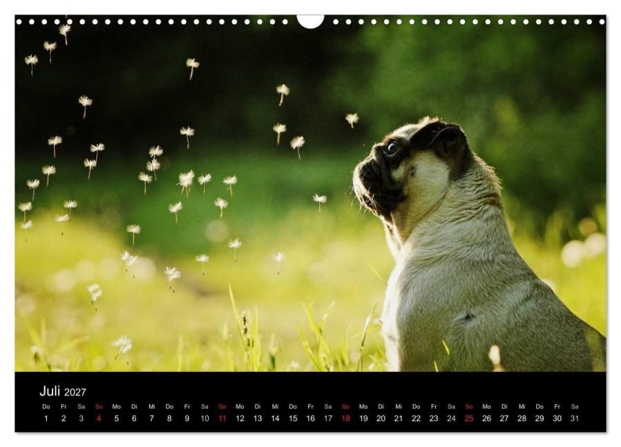 InsideView 12