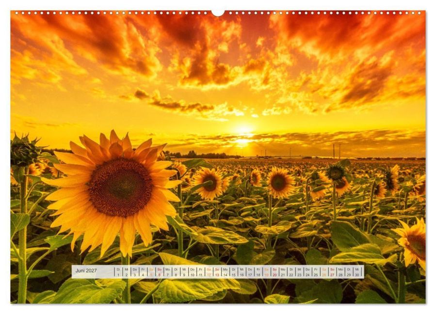 InsideView 11