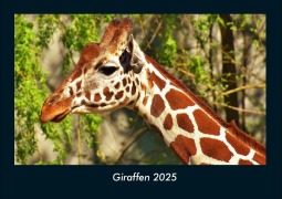 Cover-Bild zum Titel 'Giraffen 2025 Fotokalender DIN A4' von 'Tobias Becker'