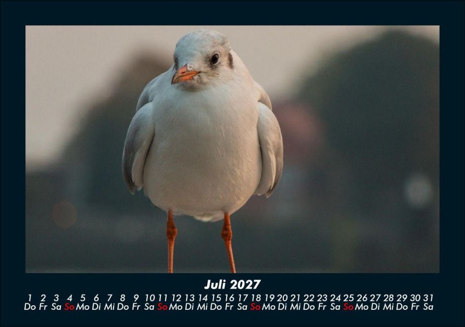 InsideView 11