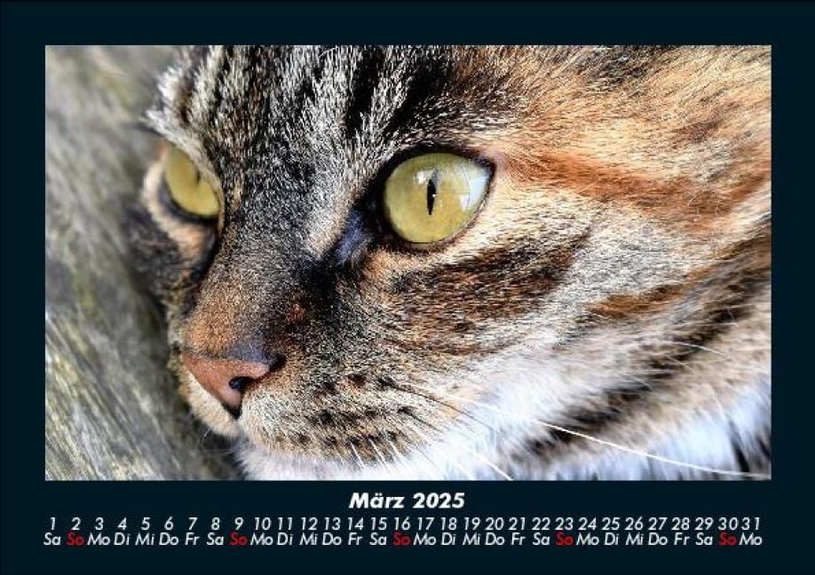 InsideView 7