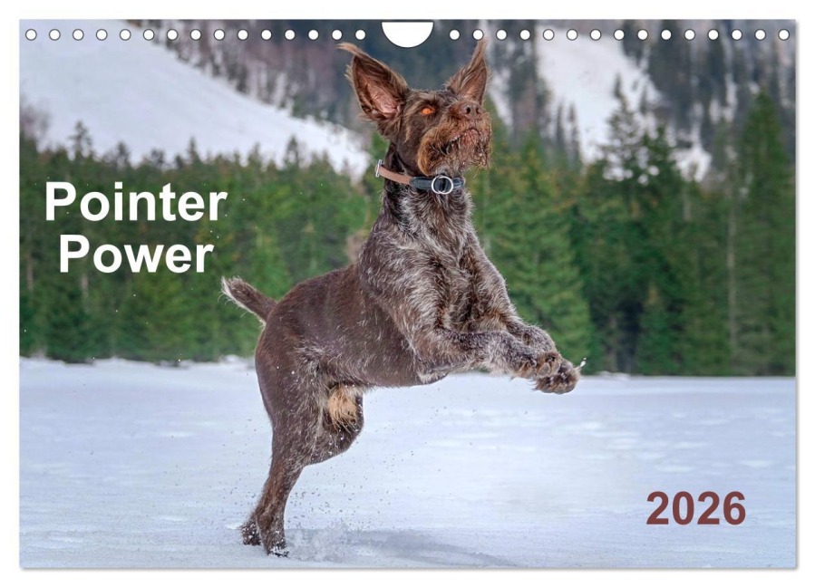 Pointer Power (Wall Calendar 2026 DIN A4 landscape), CALVENDO 12 Month Wall Calendar - Wuffclick-Pic Wuffclick-Pic