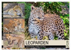 Leoparden. Geschmeidig, kräftig und klug (Wandkalender 2026 DIN A2 quer), CALVENDO Monatskalender - Rose Hurley