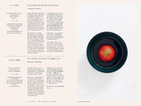 InsideView 6