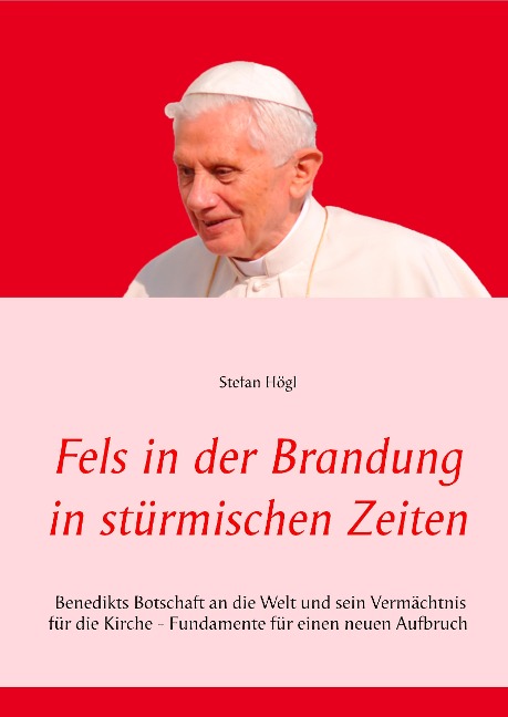 Fels in der Brandung in stürmischen Zeiten - Stefan Högl