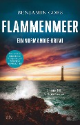 Cover-Bild zum Titel 'Flammenmeer' von 'Benjamin Cors'