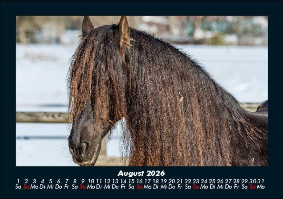 InsideView 12