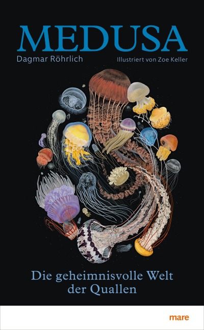 Medusa - Dagmar Röhrlich
