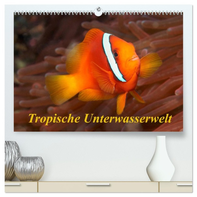 Tropische Unterwasserwelt (hochwertiger Premium Wandkalender 2026 DIN A2 quer), Kunstdruck in Hochglanz - Martin Rauchenwald