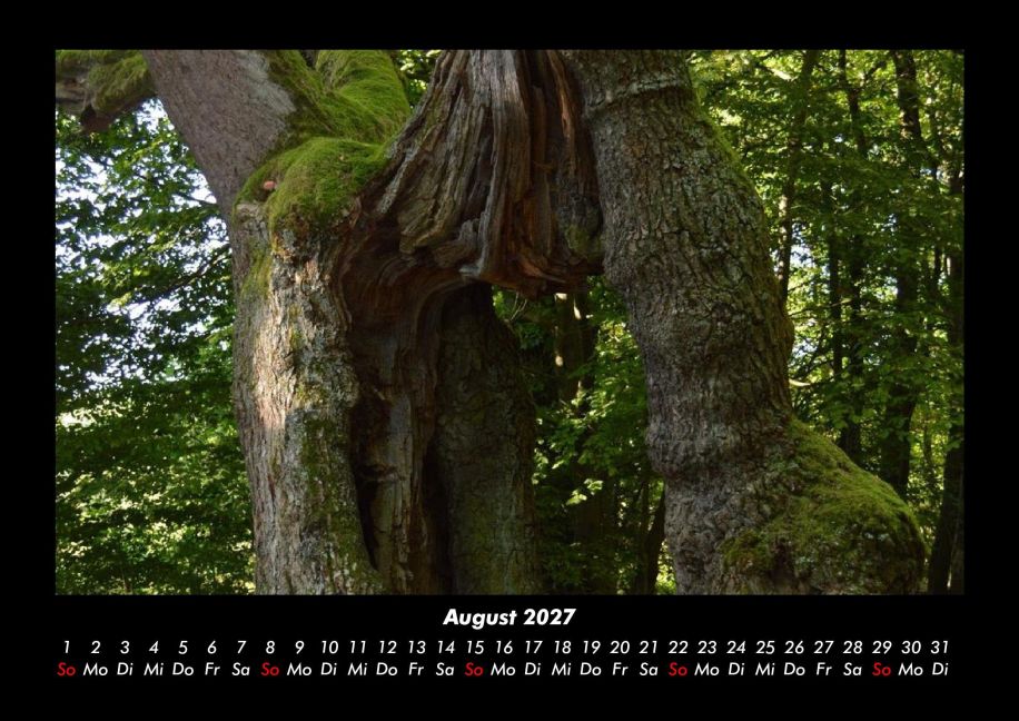 InsideView 12